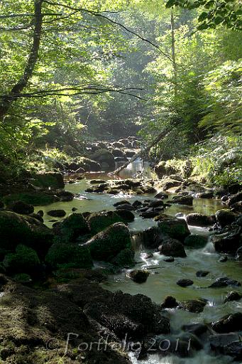 Glenariff River .jpg